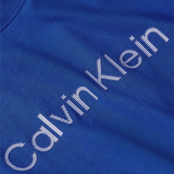 Calvin Klein Raised Striped Logo T-shirt donker blauw