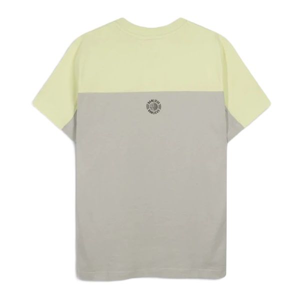 Banlieue 3D T-shirt Lime/Grijs